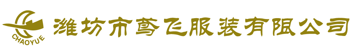 山東魯新起重設備有限公司